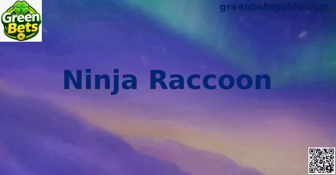 Imagem temática do jogo Ninja Raccoon